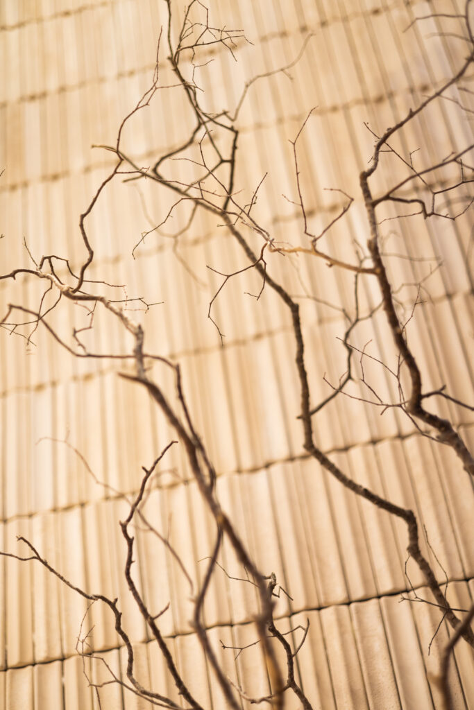 Expo Revestir 2026 – Stratto Miscelato, transformando a parede em expressão